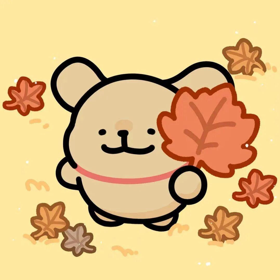 陈凛星