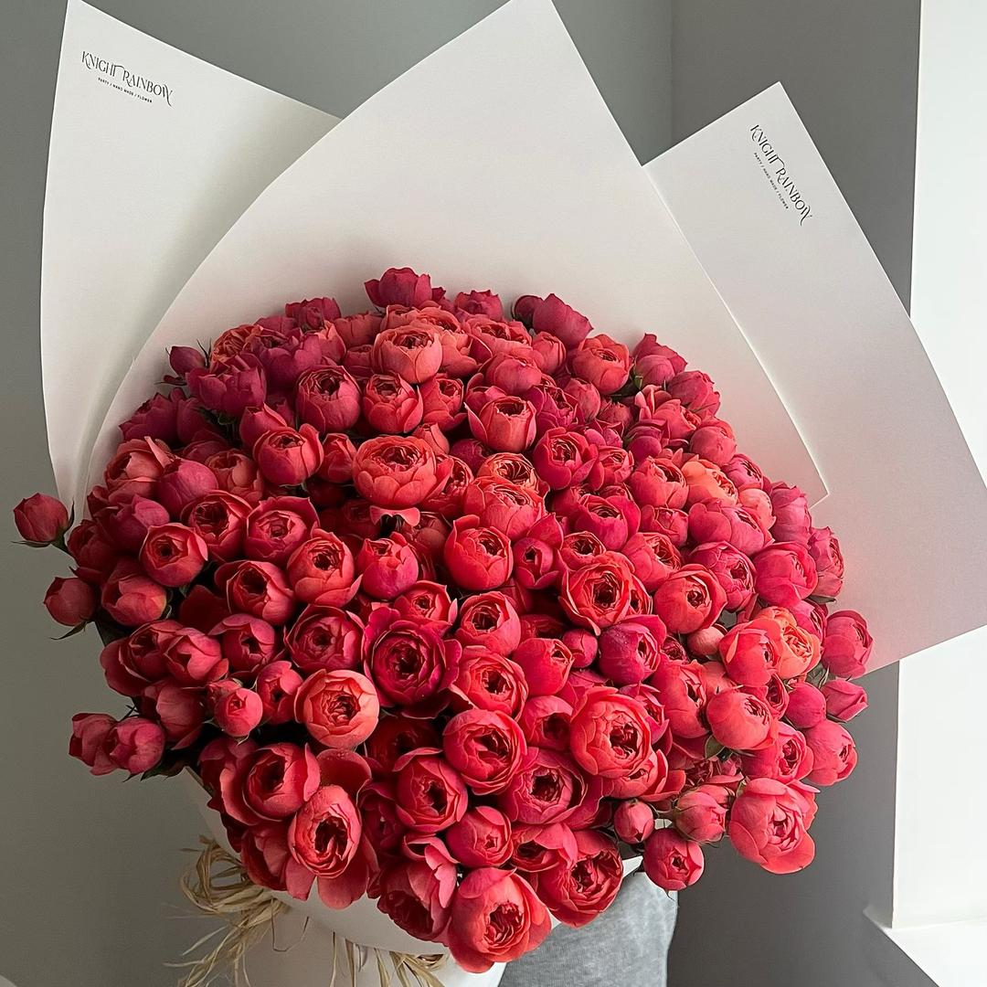 森林木木  菲练不🉑 力量塑形