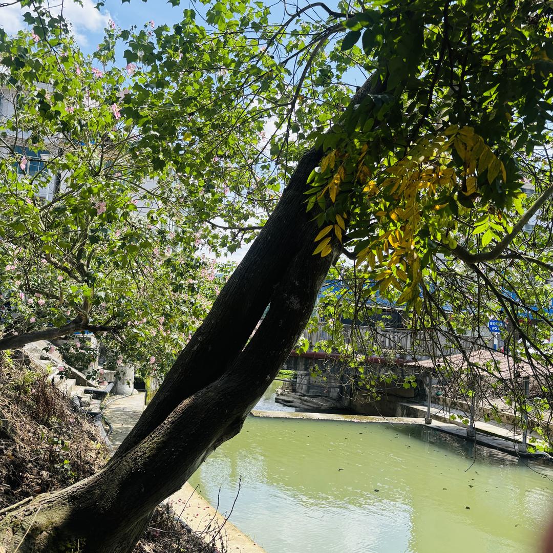 百货超市