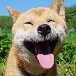 世界纪录片