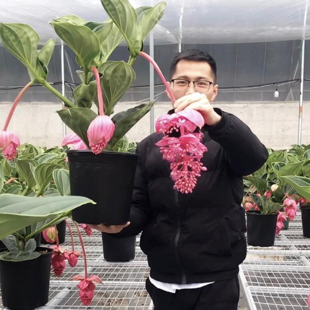 阿亮花园