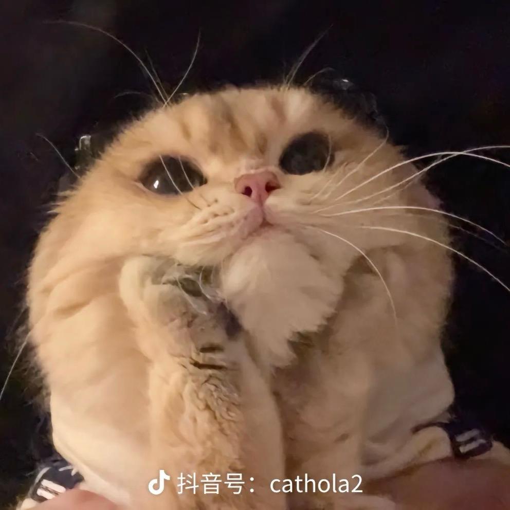 科宝