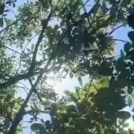 白沙湖