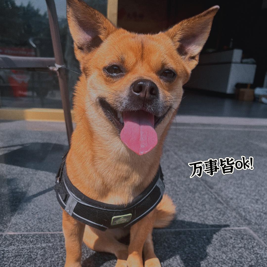 W.十一