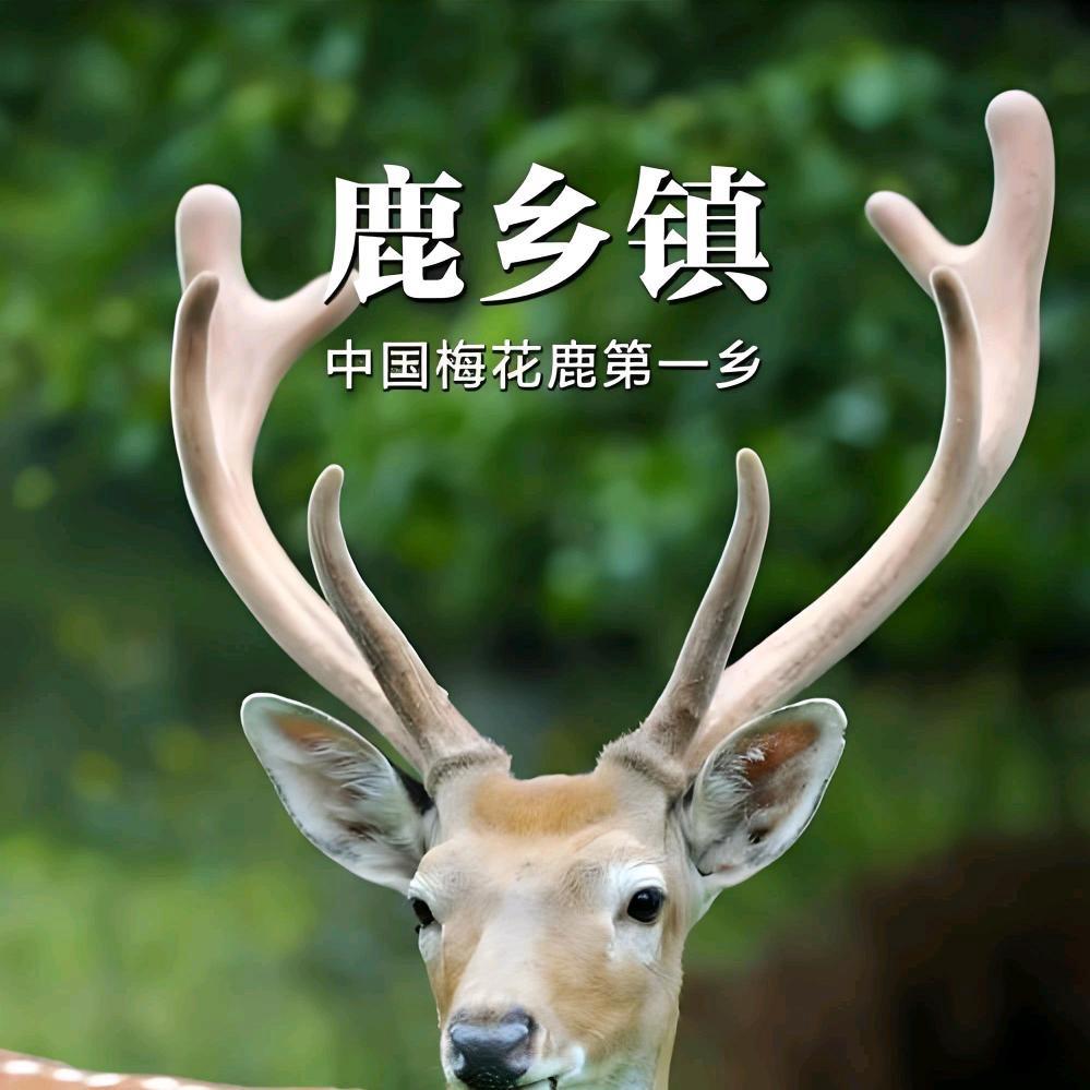 国色唐风滋补店