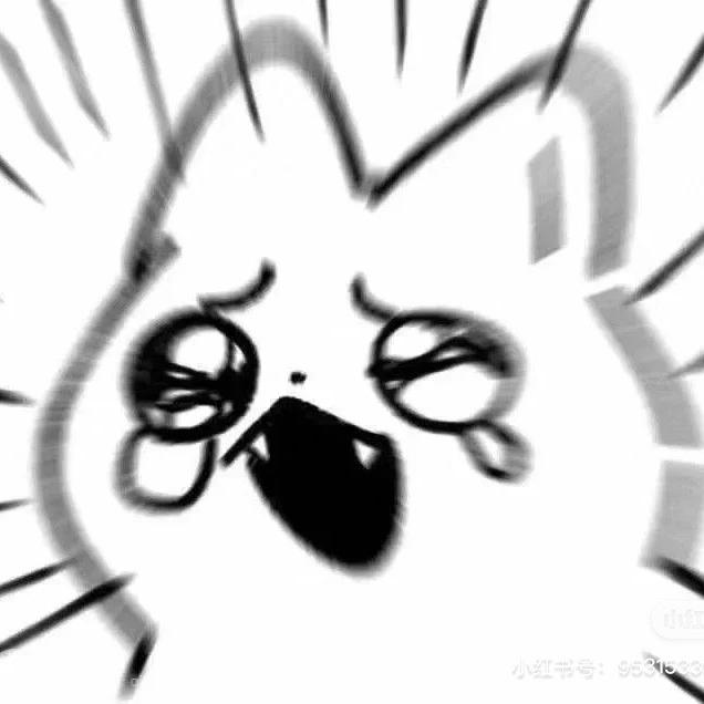 紫菜包饭忠实粉丝