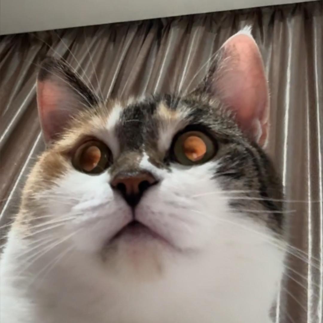 🌈自行车被b你们