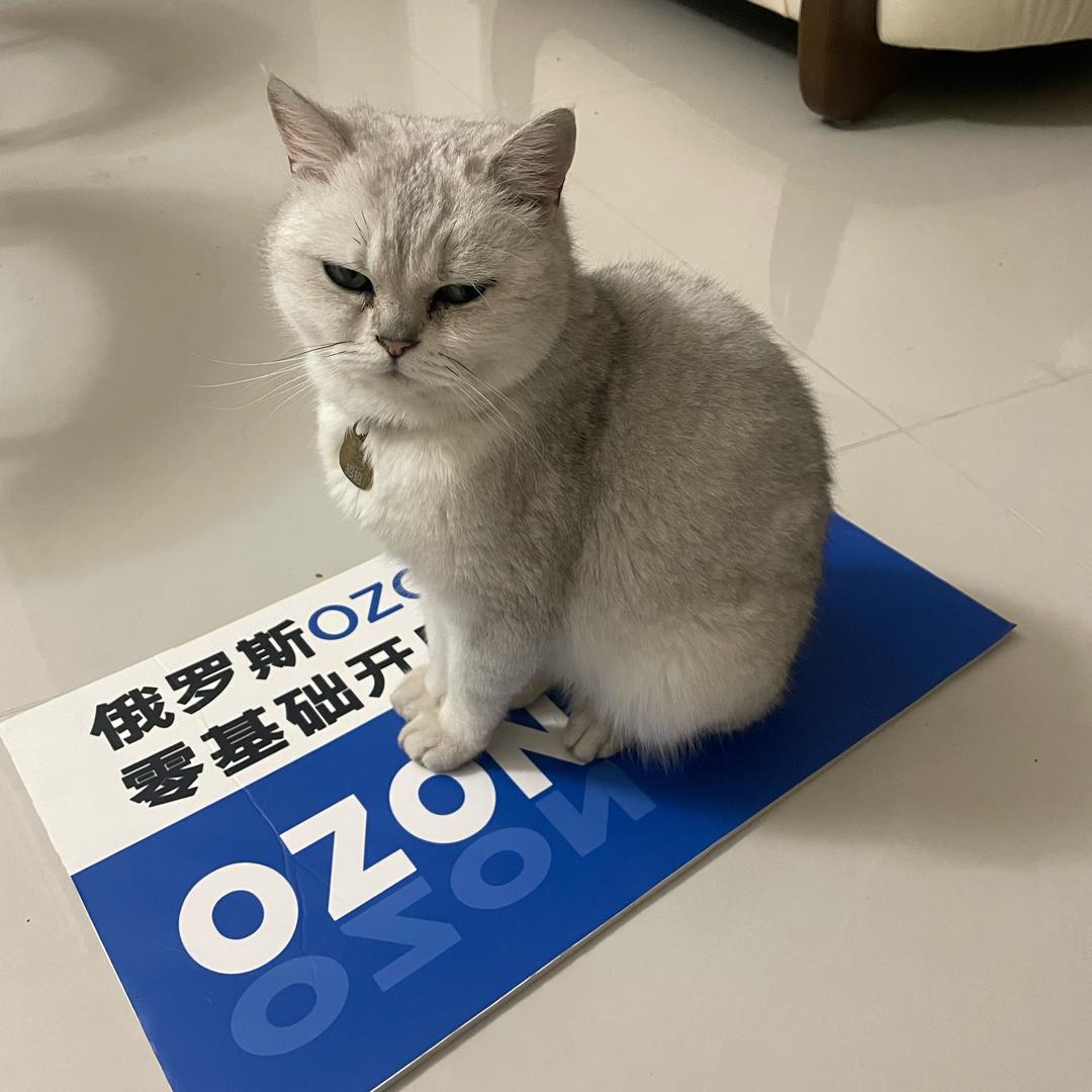 鸿鸣通讯  ozon 澄