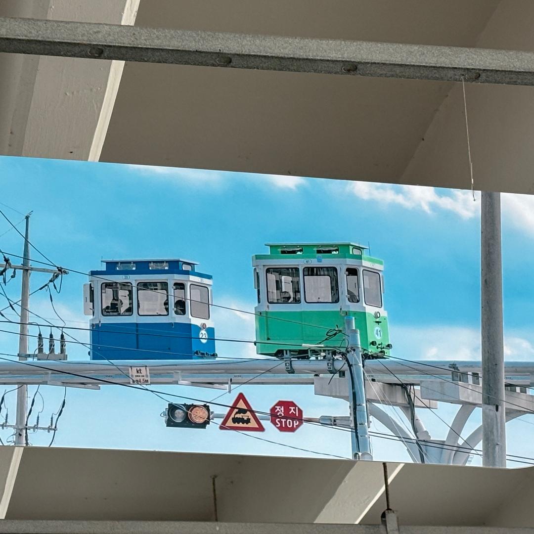 鲨鱼不爱吃辣椒🌶️