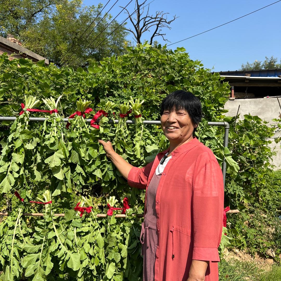老杨和梅子的农村生活