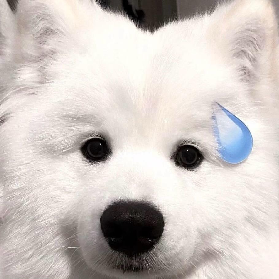 王德秀🎱