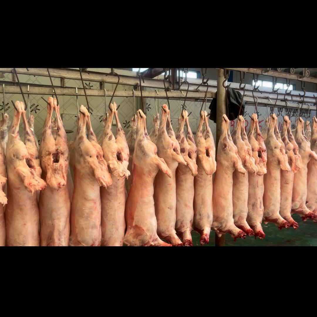 甘肃益品祥清真牛羊肉