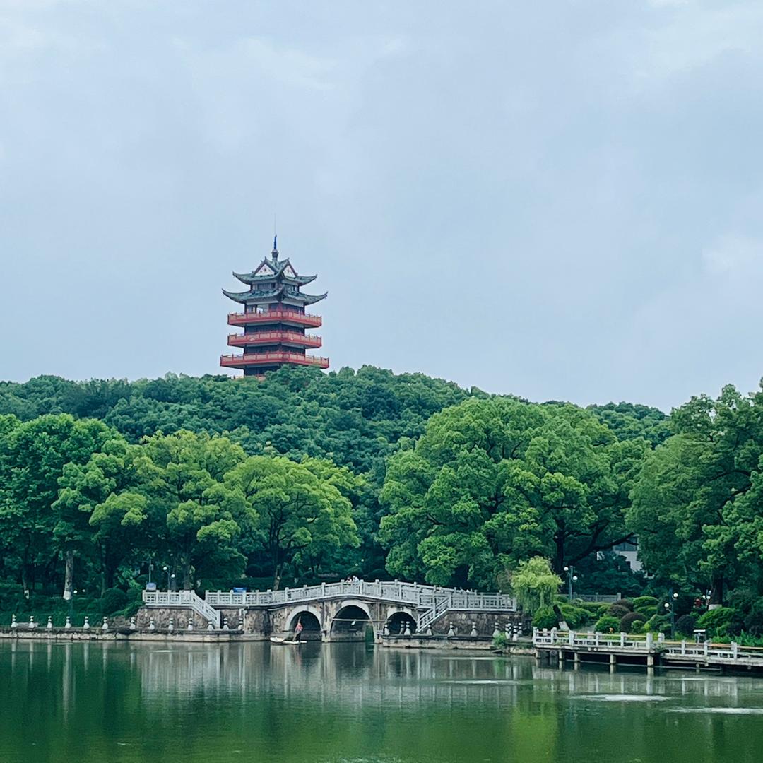 碟子