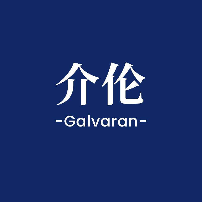 介伦护具店