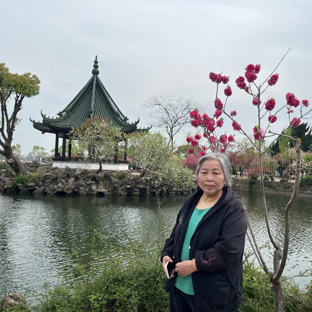 高淑芝
