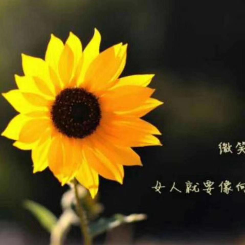 阳光暖暖