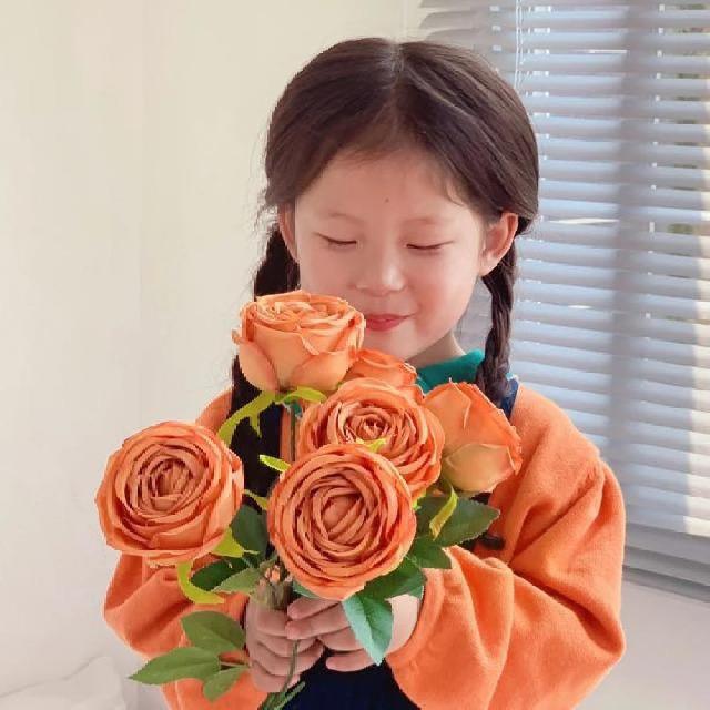 拾貳楼的小仙女☀️