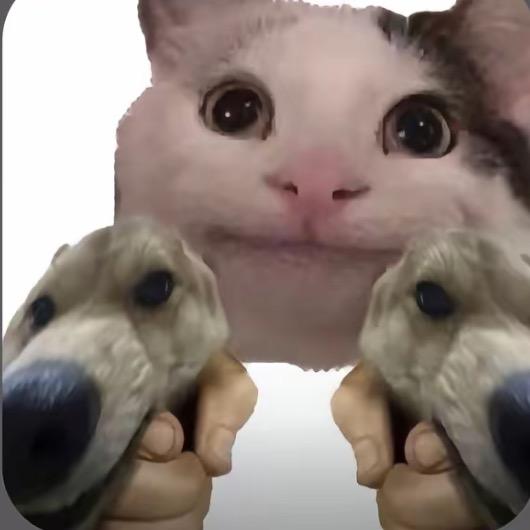 wne