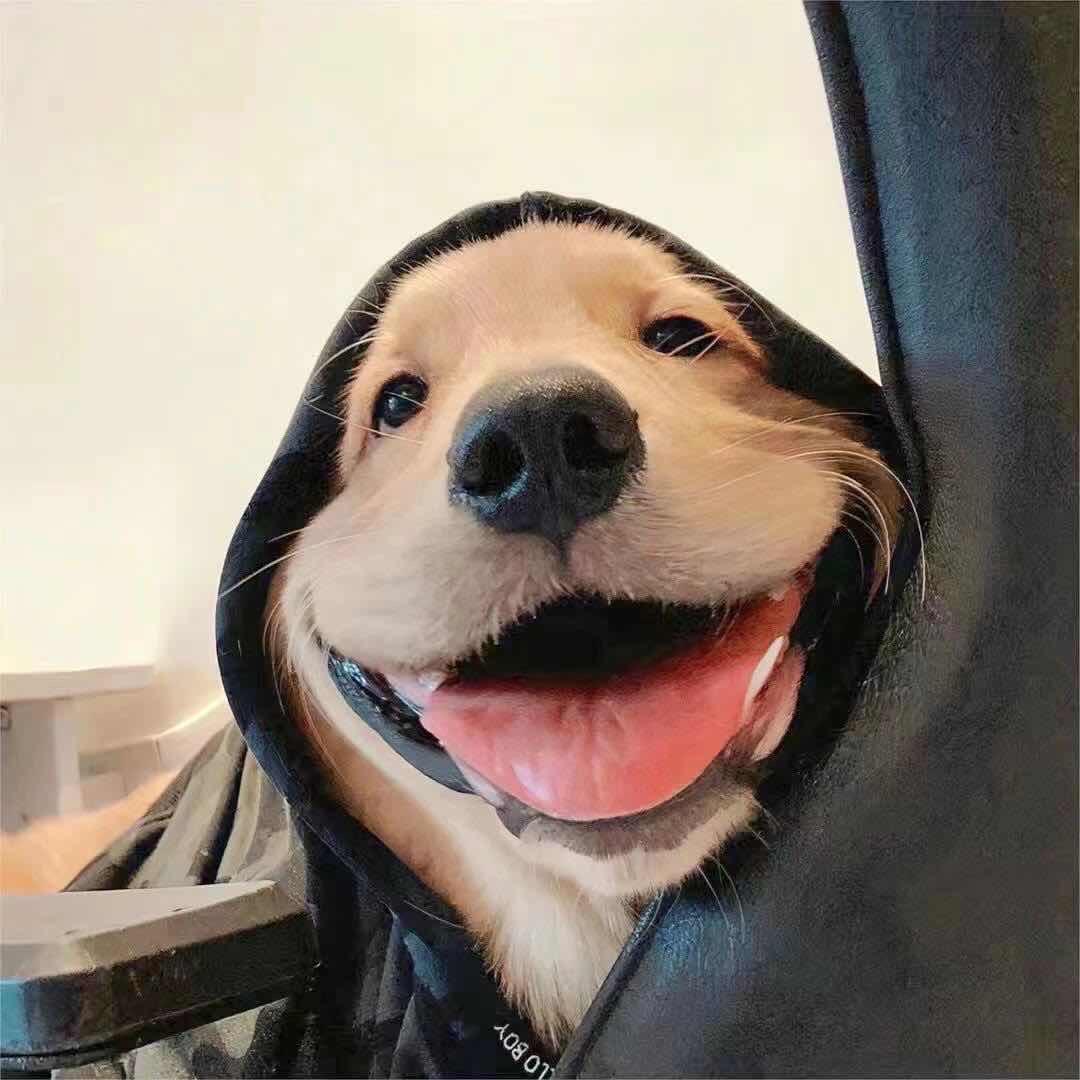 一条小炸鱼儿