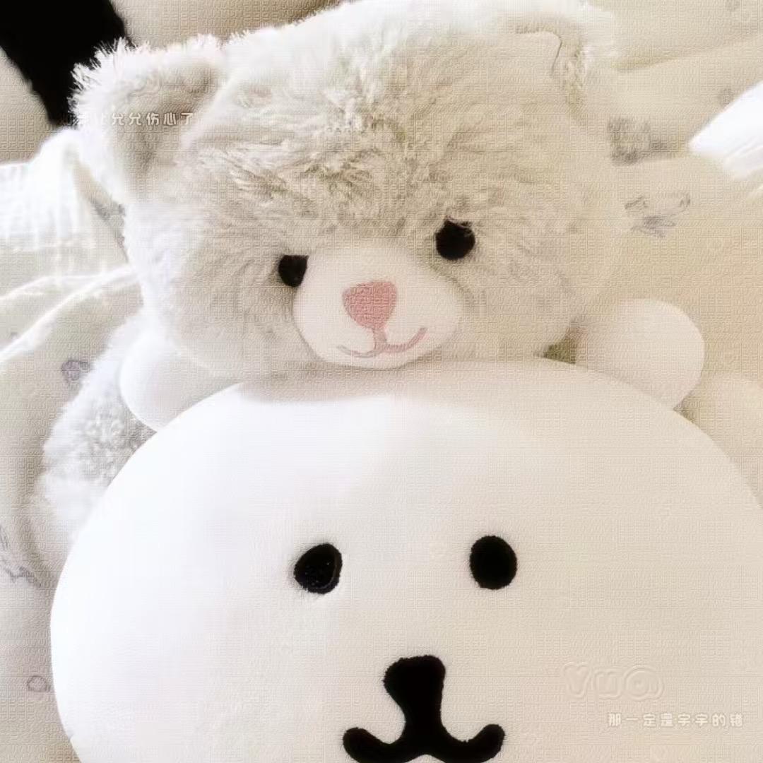 twt。