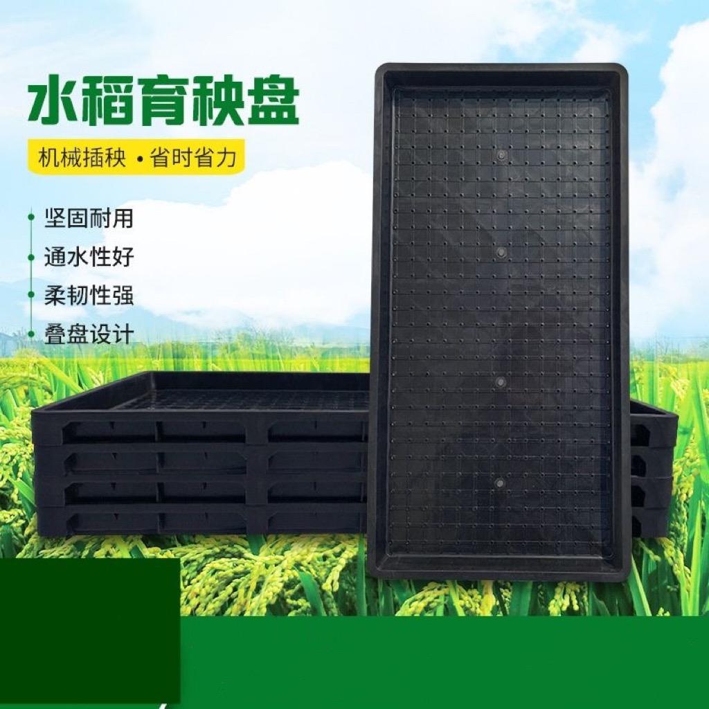 正尚水稻育秧盘生产厂家