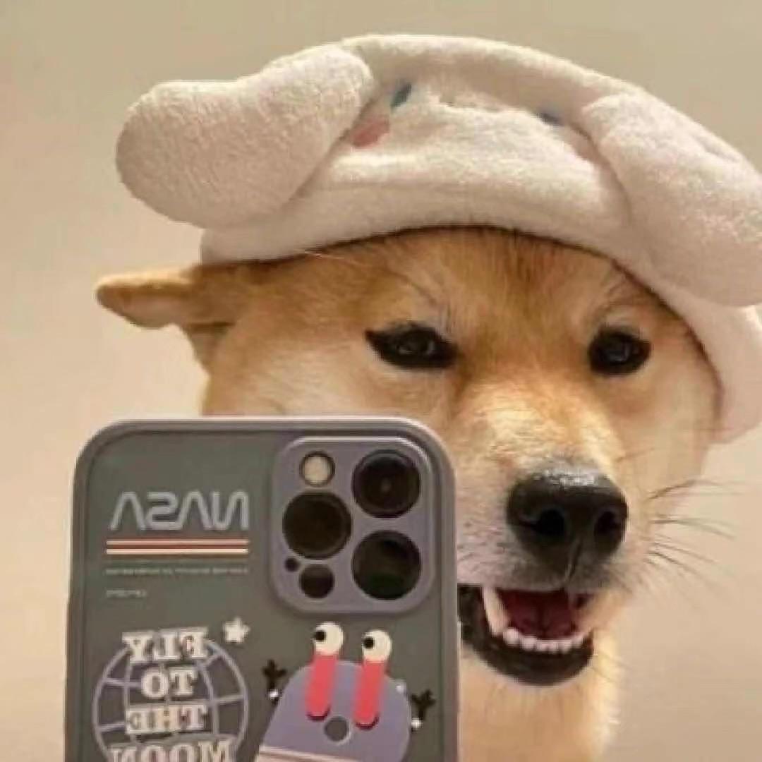 𝑳𝒐𝒔𝒕❄️