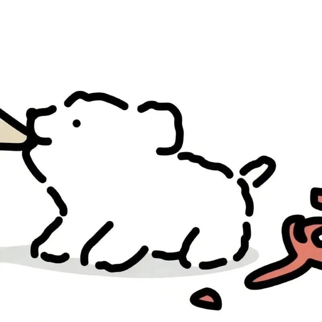 小鱼