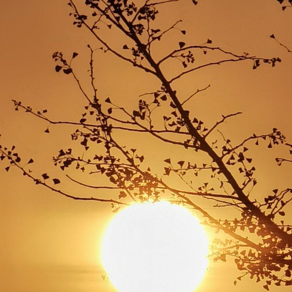 奥德乌木威尔维恩恩耶尔吐温威乌温穆木欧萨