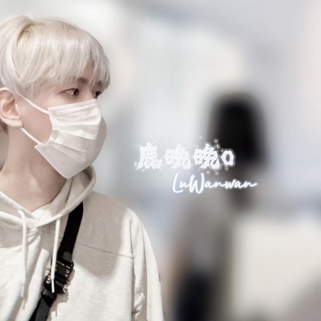 鹿晚晚o