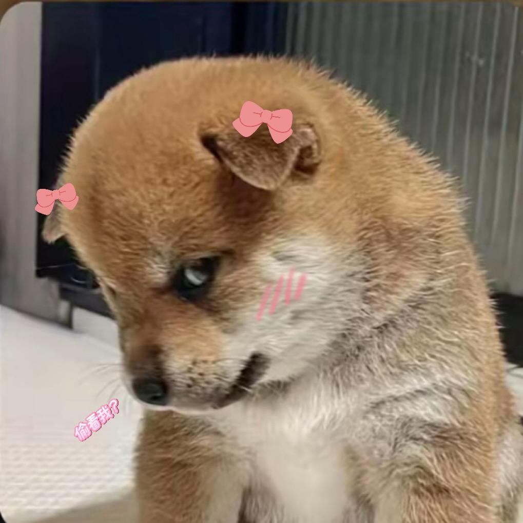 黛～