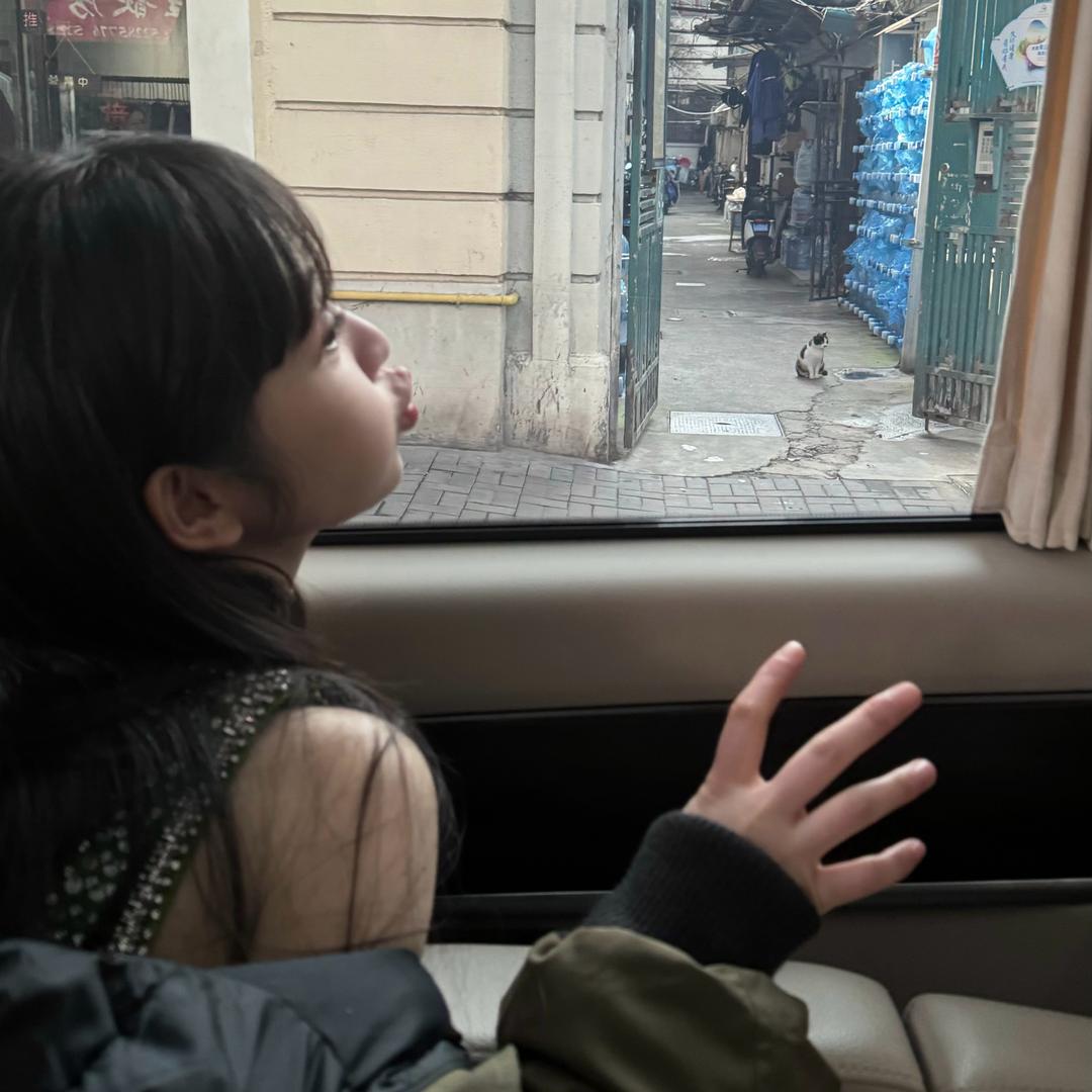 西瓜侠🍉