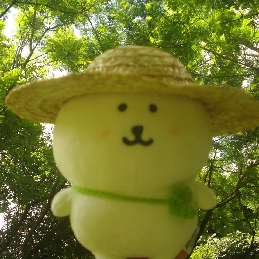 狗不李李