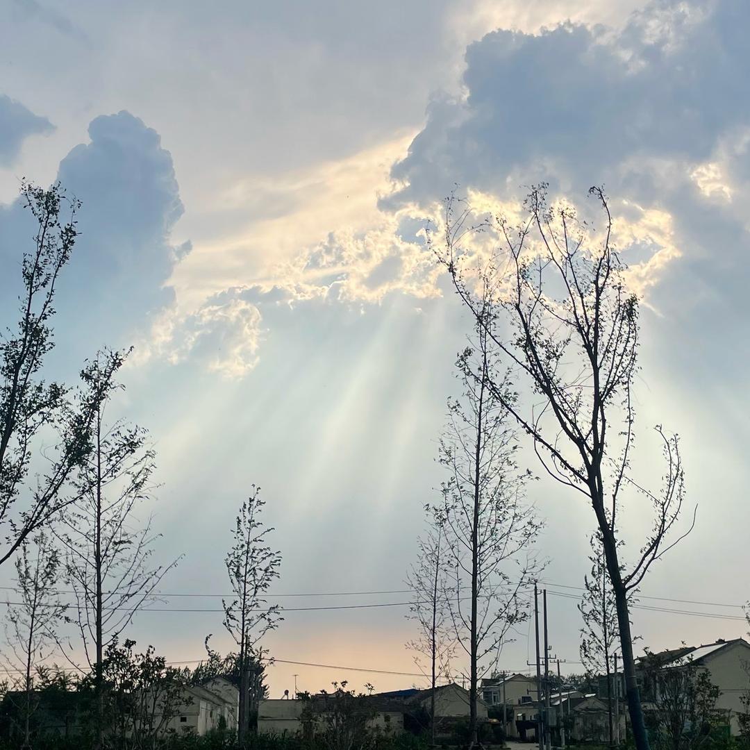 张小雨