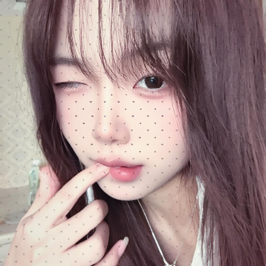 灰灰是只喵