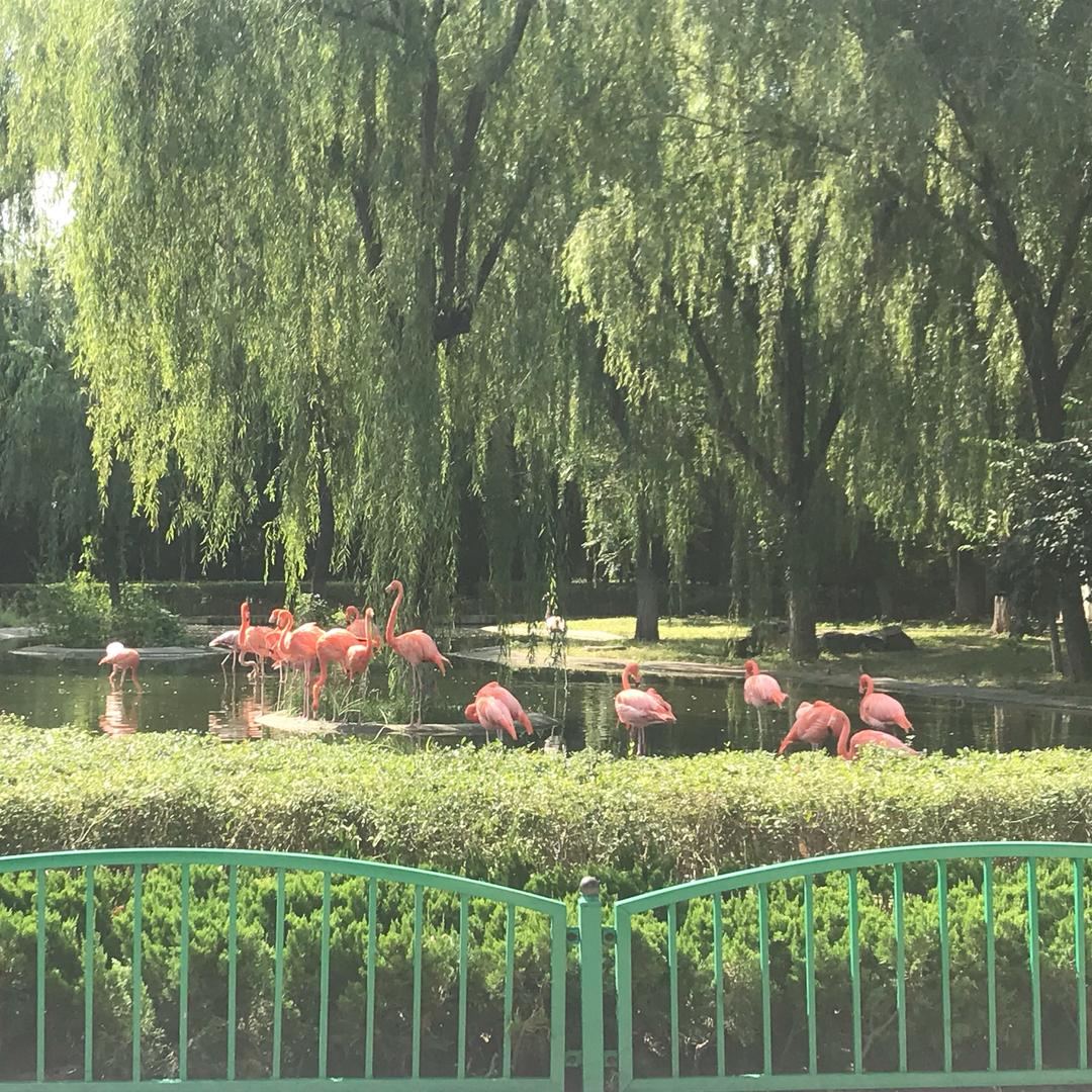 元宝小穆