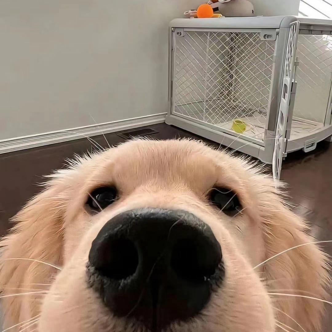 雾与时