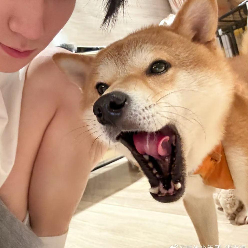 泡芙超好吃