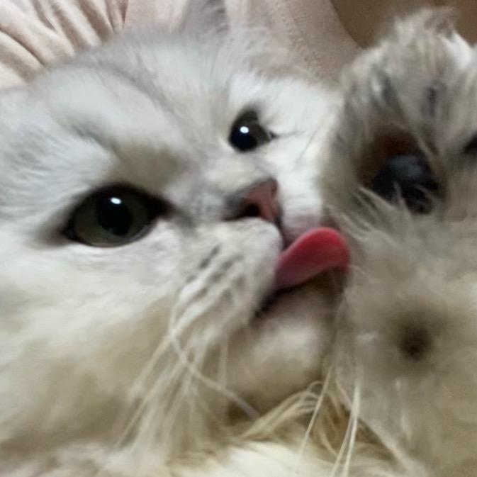 悲伤的小7️⃣