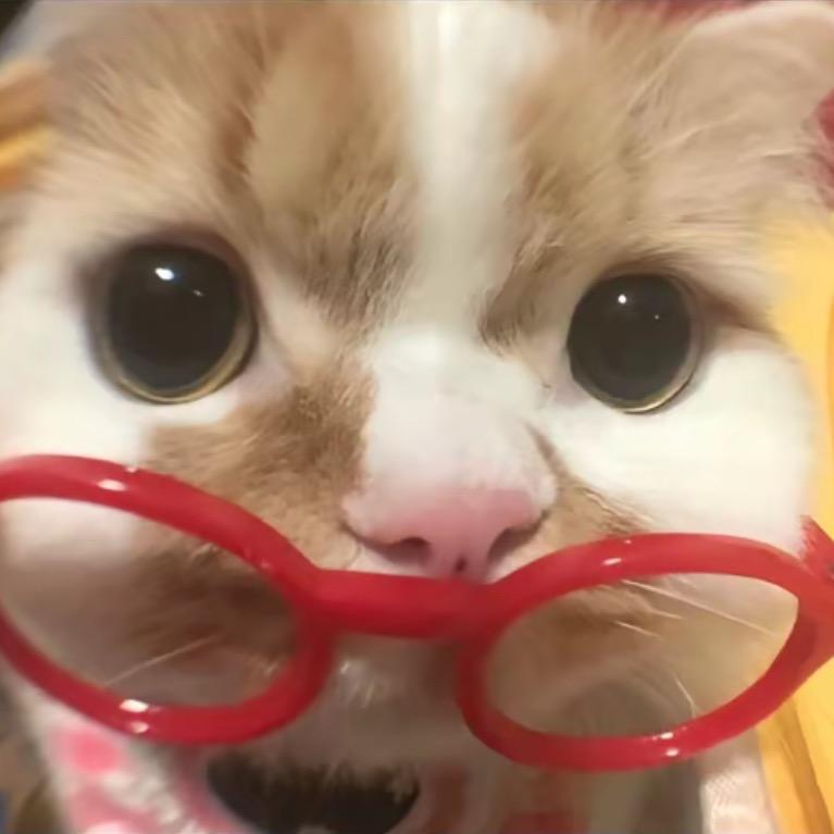 斯巴达