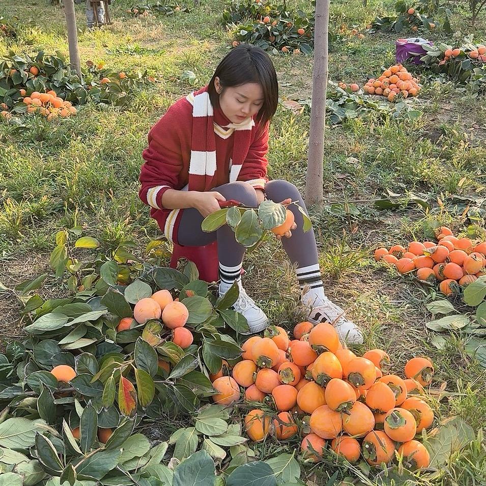 黑黑是真的黑