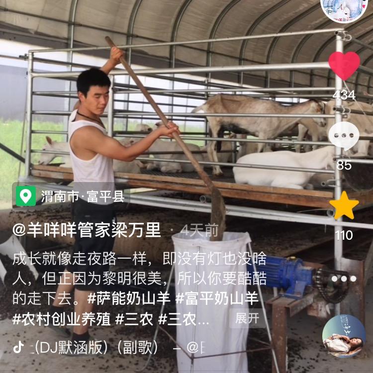 羊官梁万里