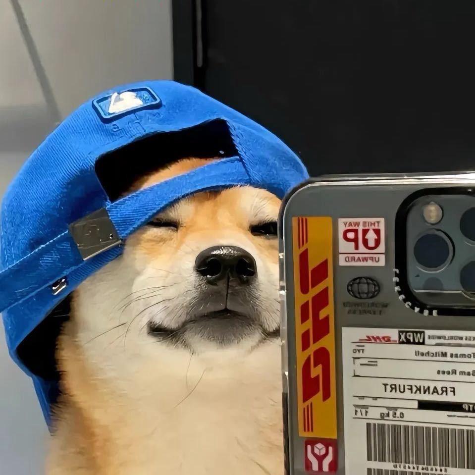 数码小贝