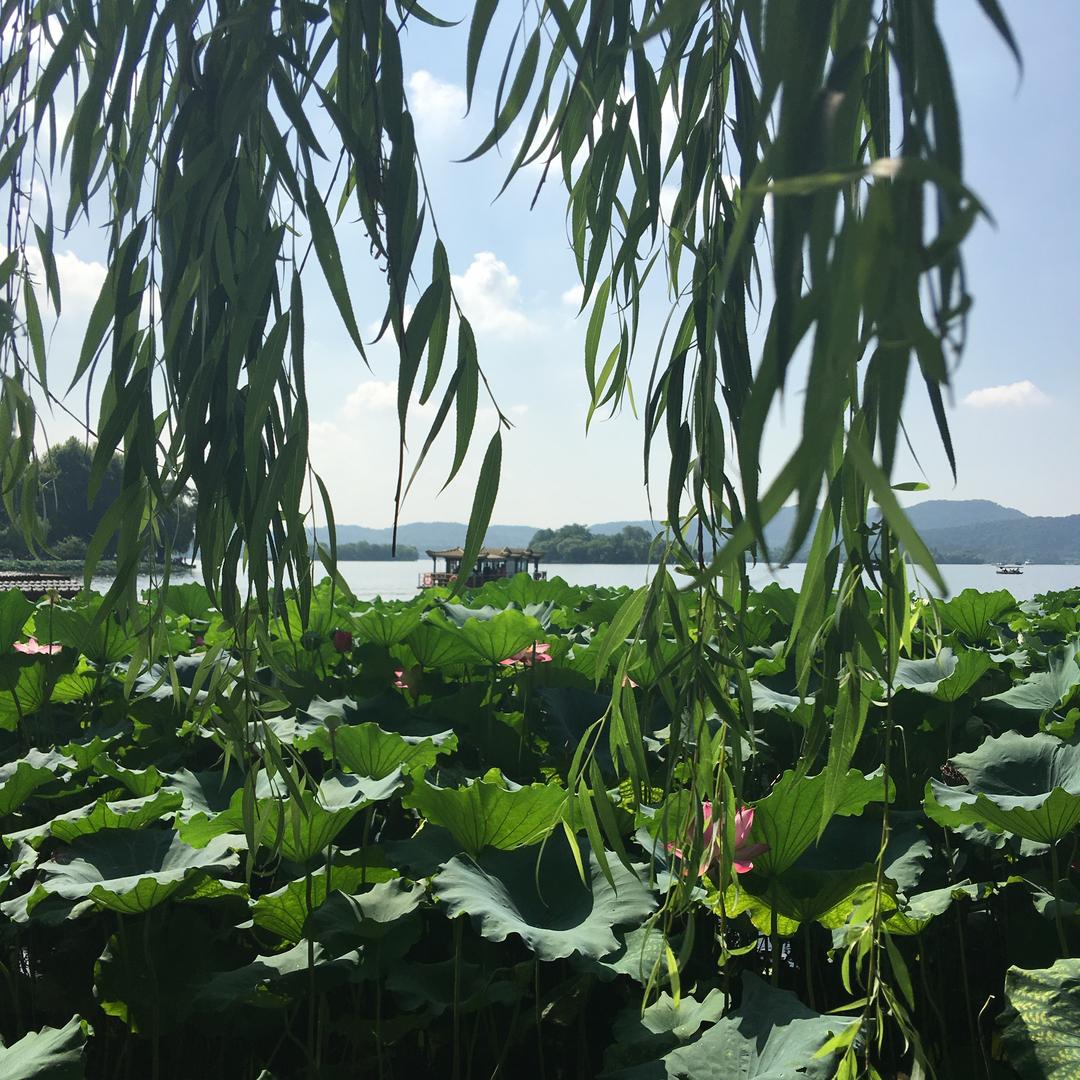 挡风挡雨