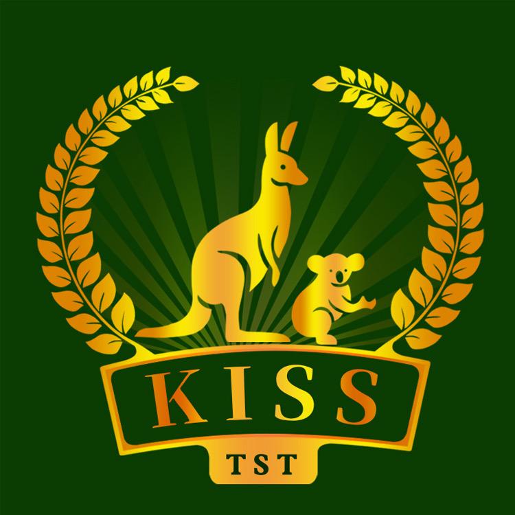 KISS TST家私皮具护理旗舰店