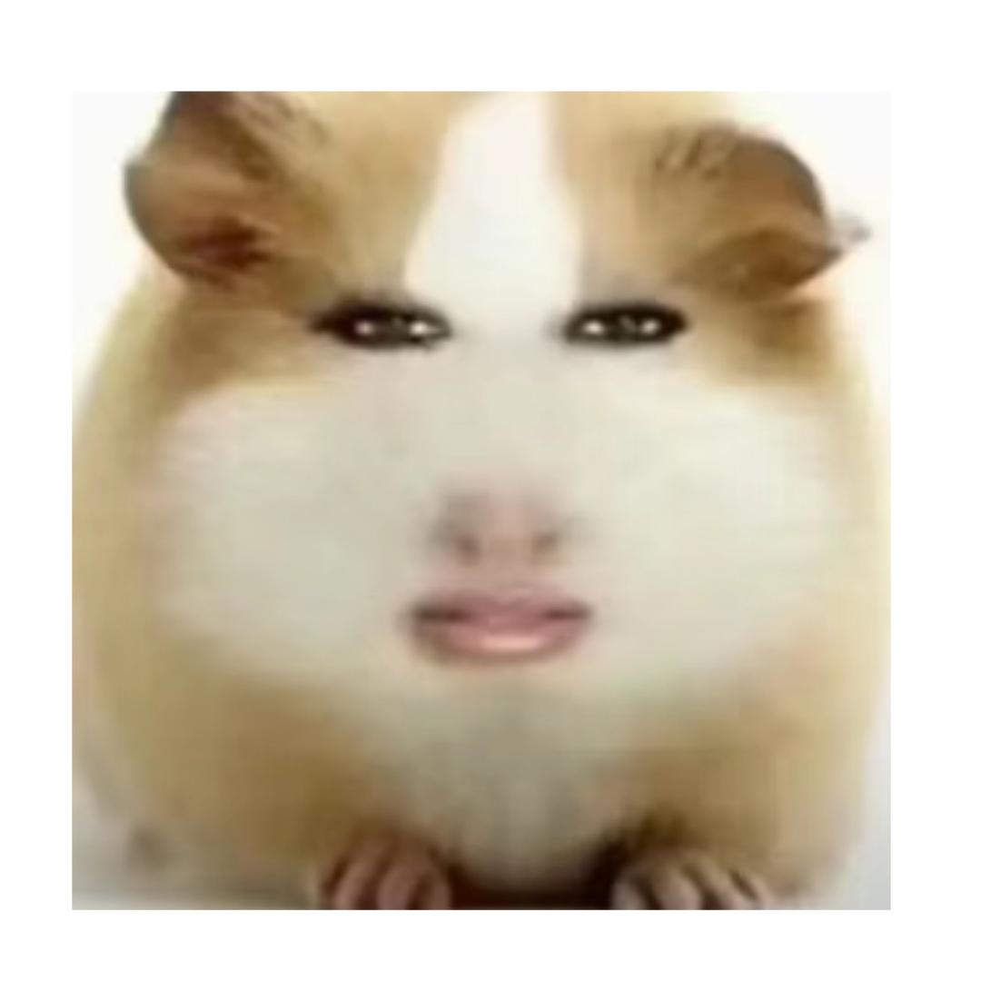 哦斤辣椒
