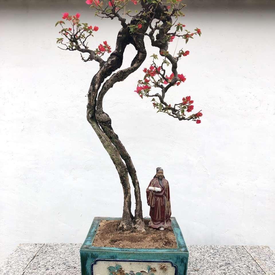 醉醒人生