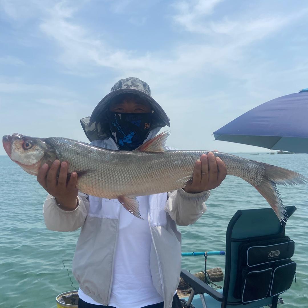 🎣超哥(嗨、野钓喽）