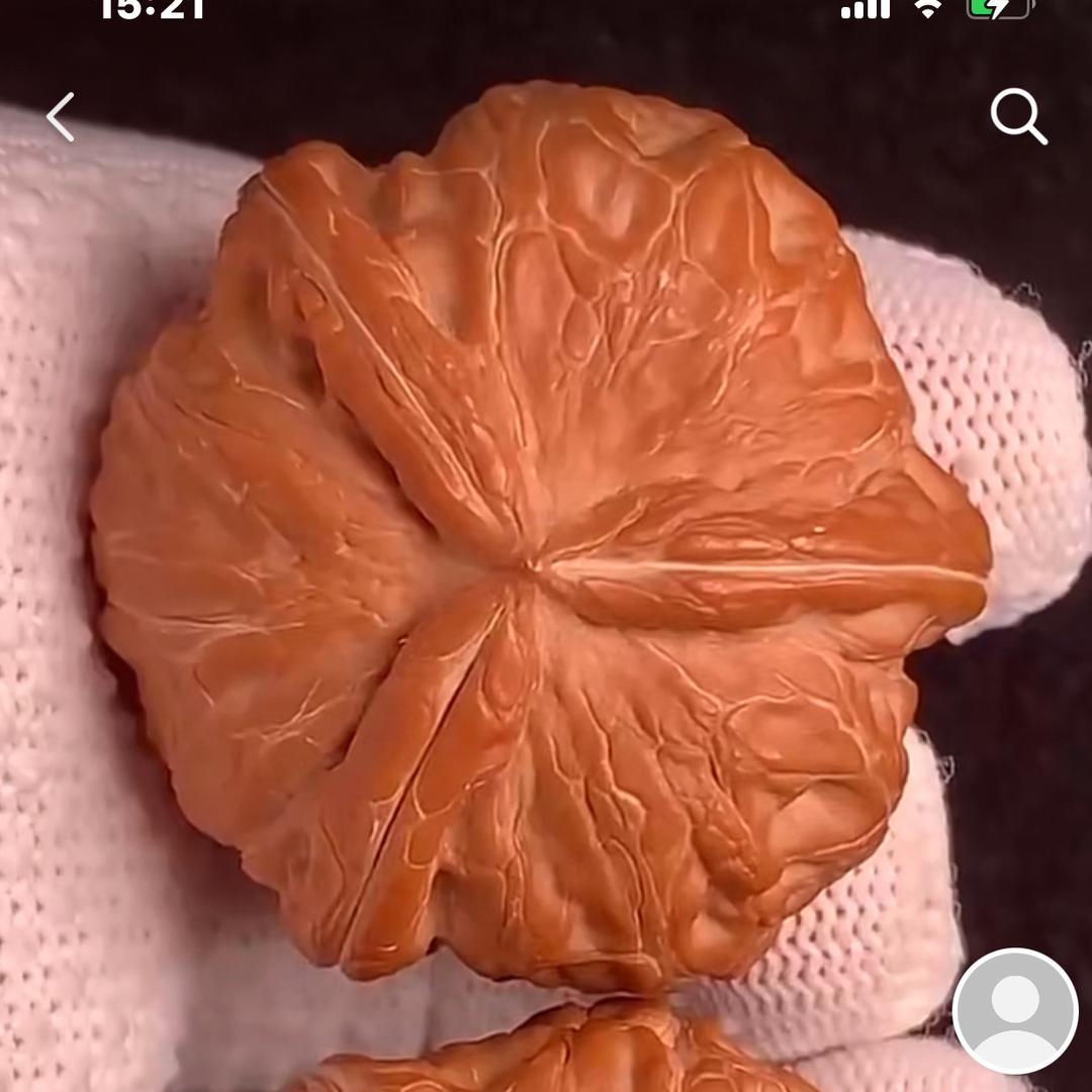 37604816544