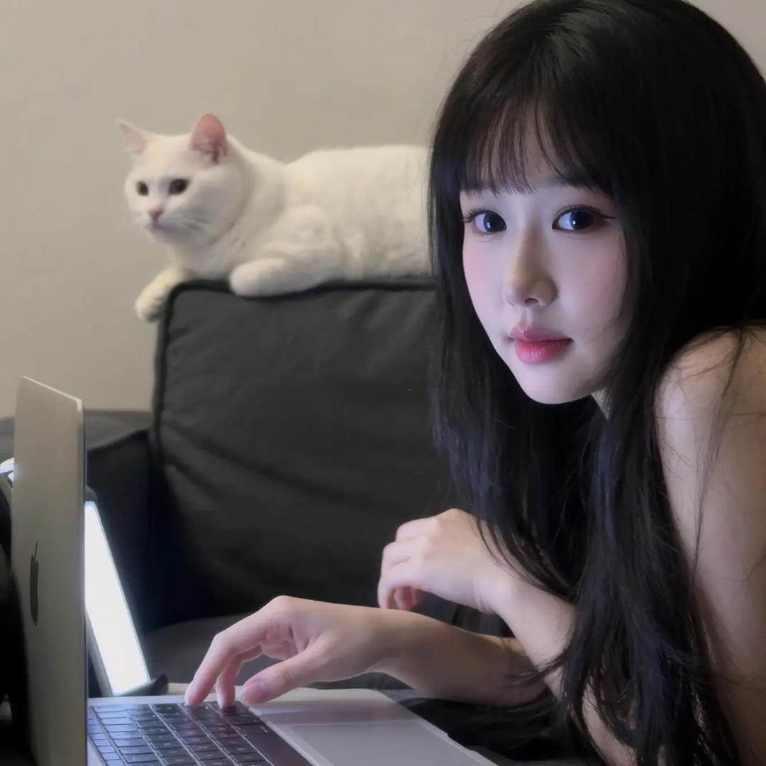 火锅代言人