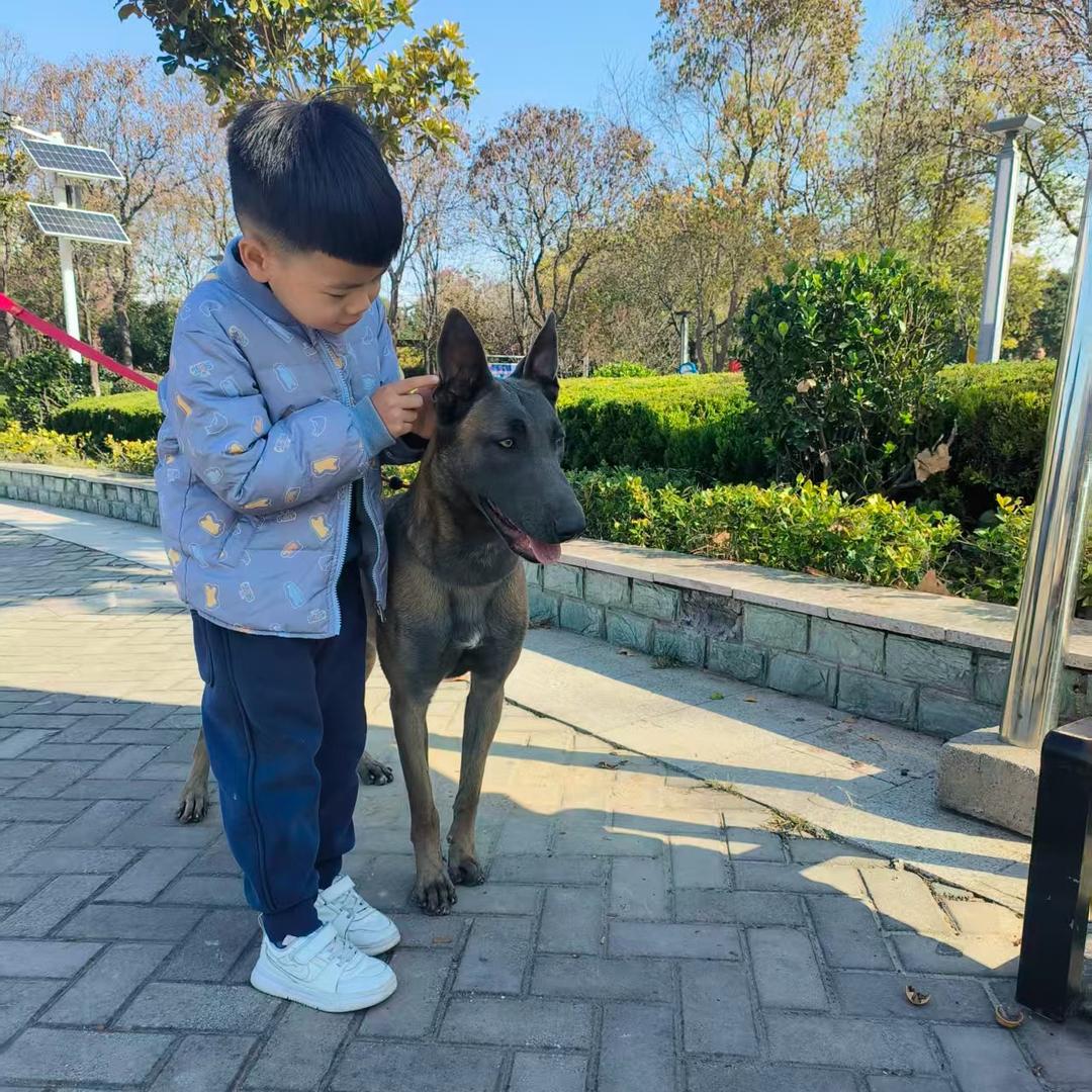 为可能、尽所能